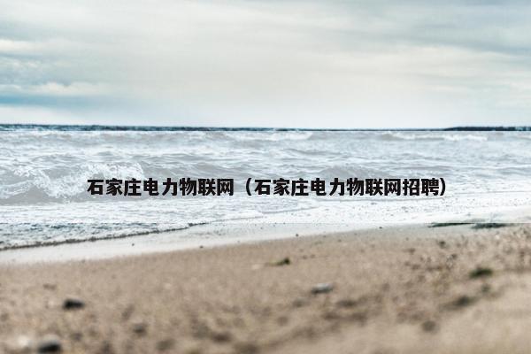 石家庄电力物联网（石家庄电力物联网招聘）