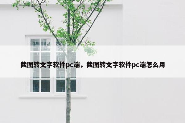 截图转文字软件pc端，截图转文字软件pc端怎么用