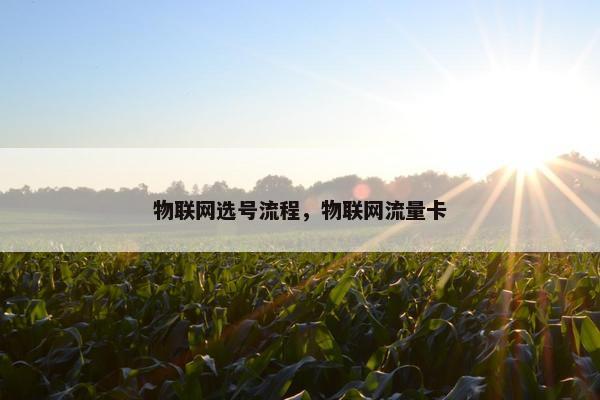 物联网选号流程，物联网流量卡