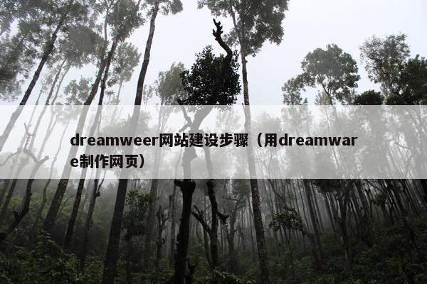 dreamweer网站建设步骤（用dreamware制作网页）