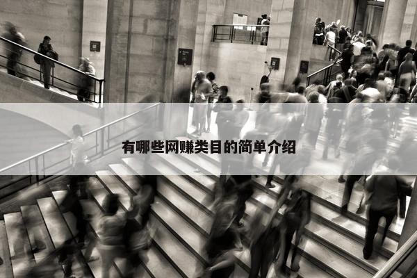 有哪些网赚类目的简单介绍