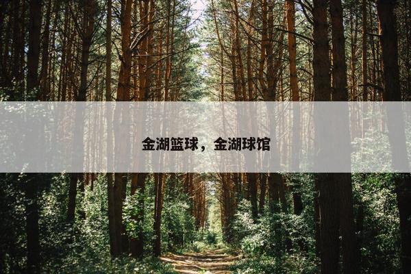金湖篮球，金湖球馆