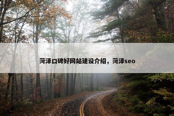 菏泽口碑好网站建设介绍，菏泽seo
