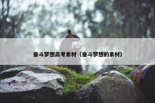 奋斗梦想高考素材（奋斗梦想的素材）