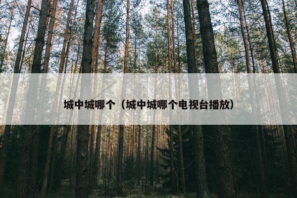 城中城哪个（城中城哪个电视台播放）