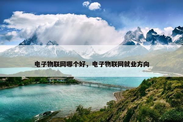 电子物联网哪个好，电子物联网就业方向
