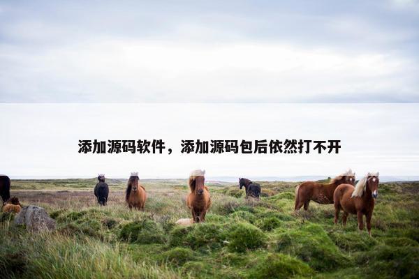 添加源码软件，添加源码包后依然打不开