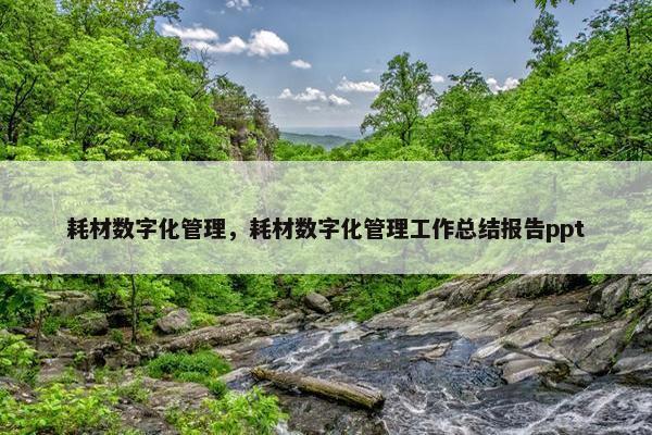 耗材数字化管理，耗材数字化管理工作总结报告ppt