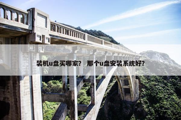 装机u盘买哪家？ 那个u盘安装系统好？