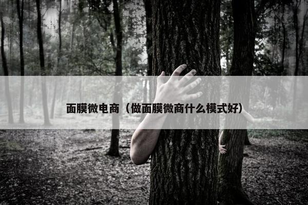 面膜微电商（做面膜微商什么模式好）
