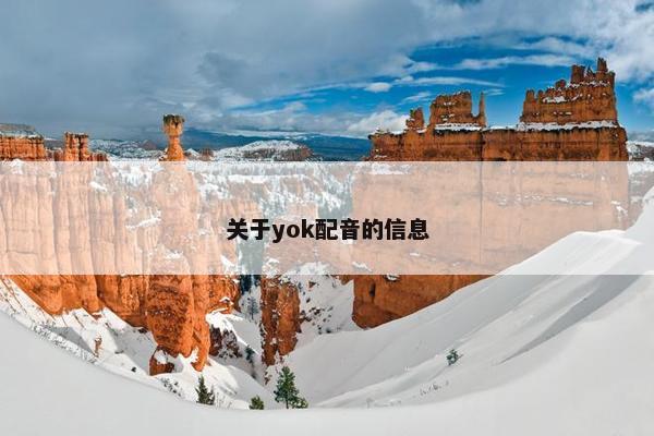 关于yok配音的信息