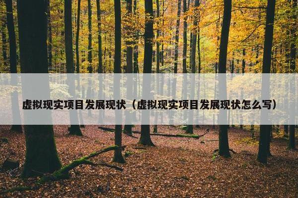 虚拟现实项目发展现状（虚拟现实项目发展现状怎么写）