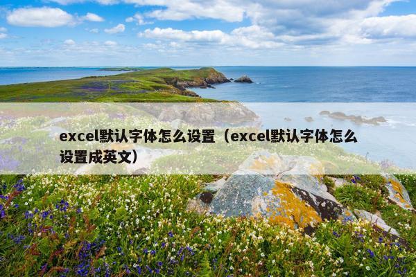 excel默认字体怎么设置（excel默认字体怎么设置成英文）