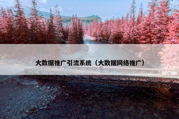 大数据推广引流系统（大数据网络推广）