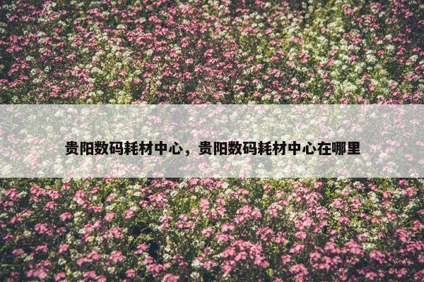 贵阳数码耗材中心，贵阳数码耗材中心在哪里