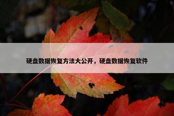 硬盘数据恢复方法大公开，硬盘数据恢复软件