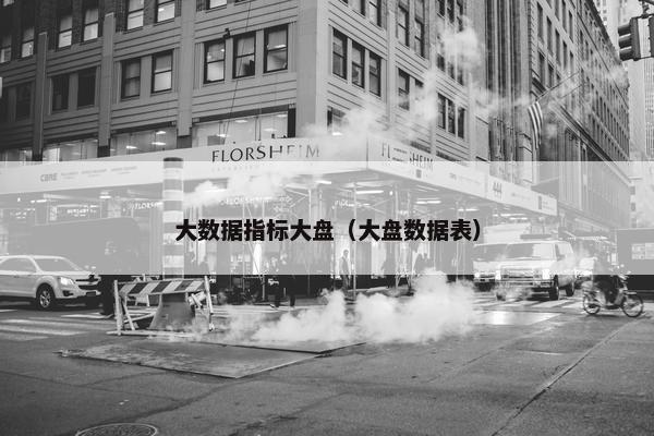 大数据指标大盘（大盘数据表）