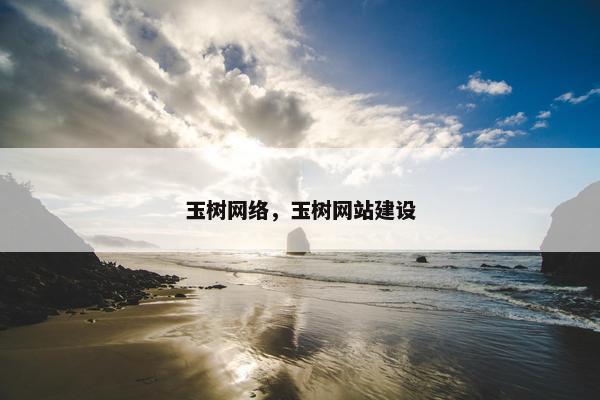玉树网络，玉树网站建设