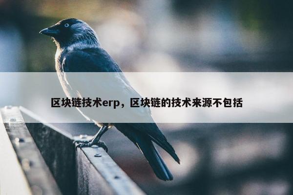 区块链技术erp，区块链的技术来源不包括