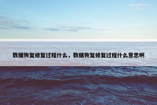 数据恢复修复过程什么，数据恢复修复过程什么意思啊