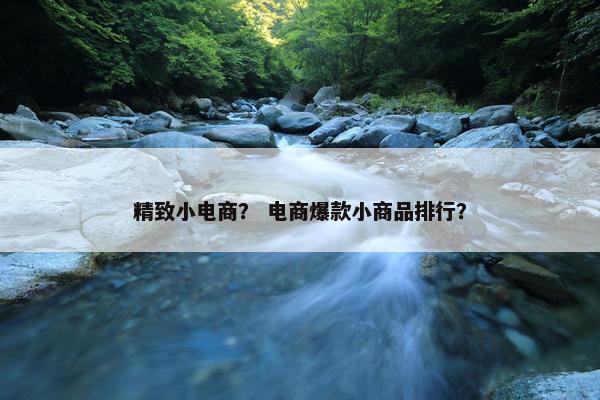 精致小电商？ 电商爆款小商品排行？