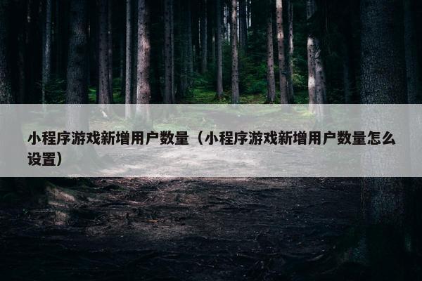 小程序游戏新增用户数量（小程序游戏新增用户数量怎么设置）