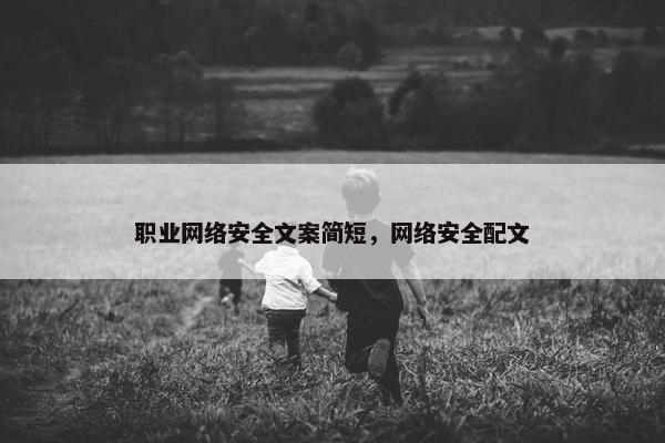职业网络安全文案简短，网络安全配文