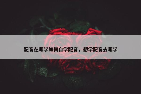 配音在哪学如何自学配音，想学配音去哪学