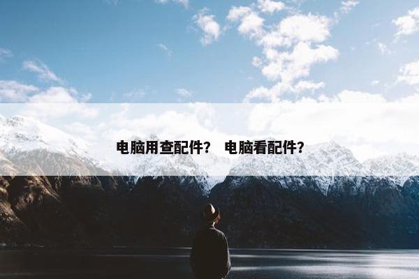 电脑用查配件？ 电脑看配件？