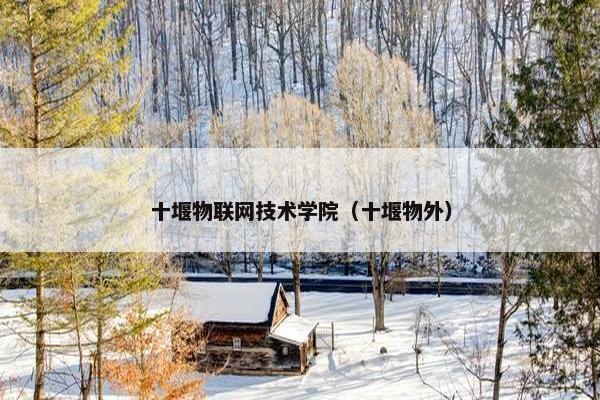 十堰物联网技术学院（十堰物外）
