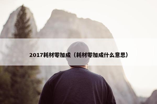 2017耗材零加成（耗材零加成什么意思）