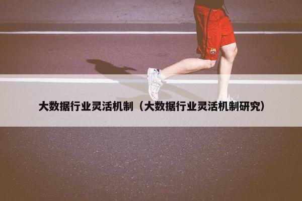 大数据行业灵活机制（大数据行业灵活机制研究）