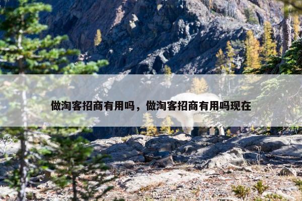 做淘客招商有用吗，做淘客招商有用吗现在