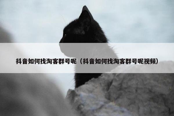抖音如何找淘客群号呢（抖音如何找淘客群号呢视频）