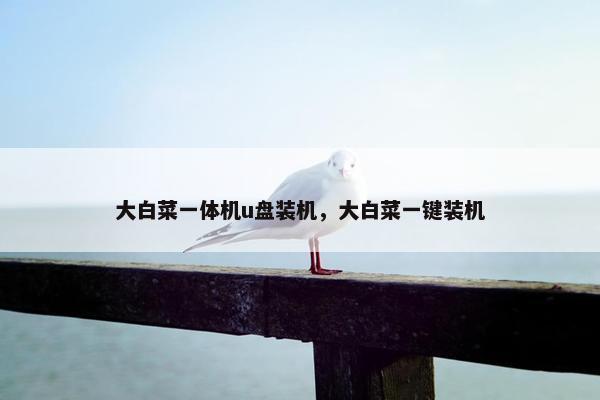 大白菜一体机u盘装机，大白菜一键装机