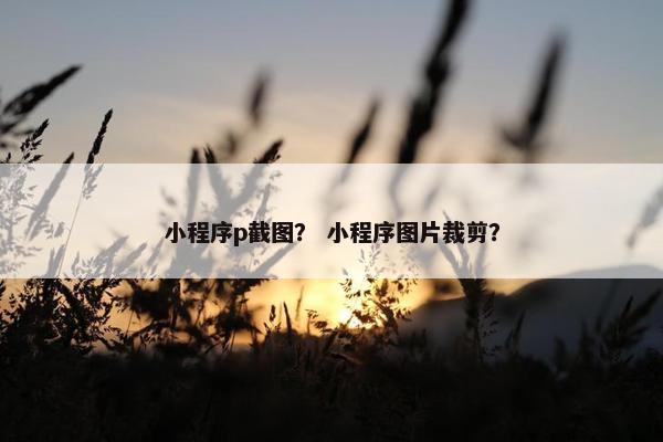 小程序p截图？ 小程序图片裁剪？