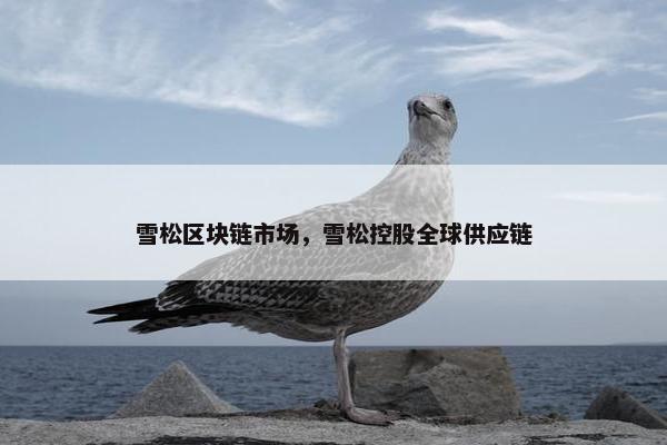雪松区块链市场，雪松控股全球供应链