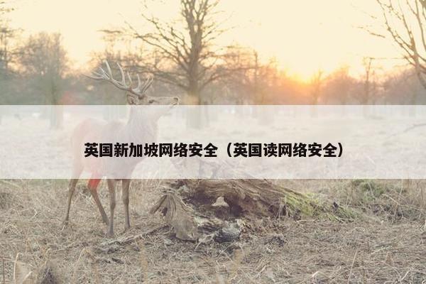 英国新加坡网络安全（英国读网络安全）