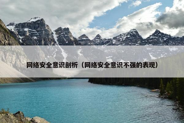 网络安全意识剖析（网络安全意识不强的表现）