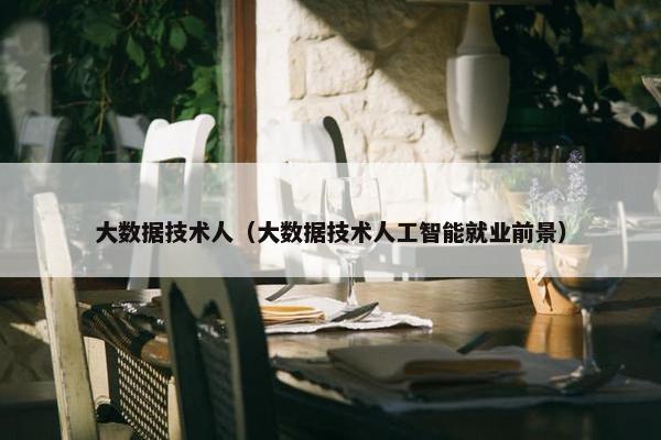大数据技术人（大数据技术人工智能就业前景）