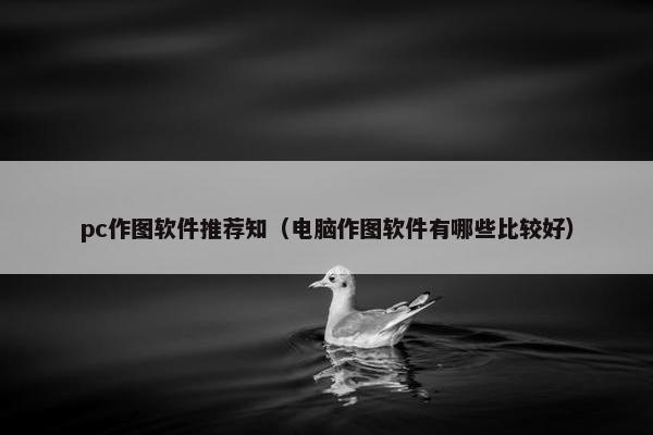 pc作图软件推荐知（电脑作图软件有哪些比较好）