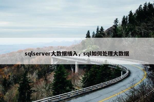 sqlserver大数据插入，sql如何处理大数据