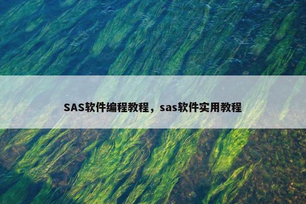 SAS软件编程教程，sas软件实用教程