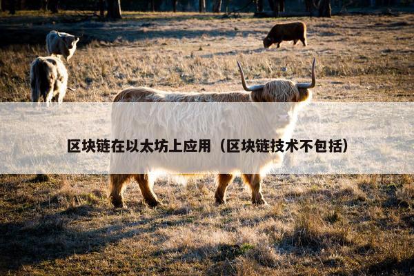 区块链在以太坊上应用（区块链技术不包括）