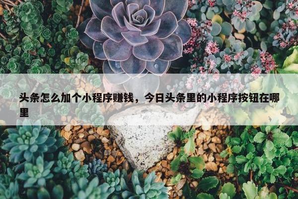 头条怎么加个小程序赚钱，今日头条里的小程序按钮在哪里