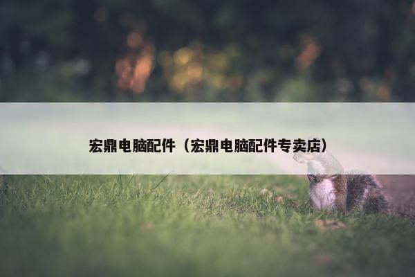 宏鼎电脑配件（宏鼎电脑配件专卖店）