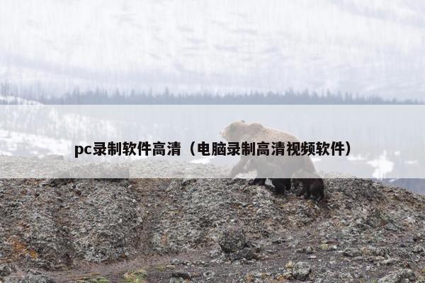 pc录制软件高清（电脑录制高清视频软件）