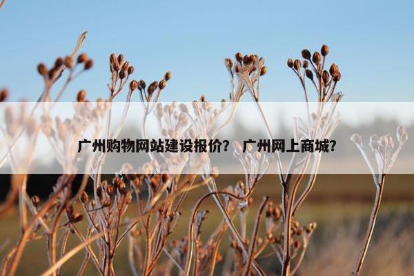 广州购物网站建设报价？ 广州网上商城？