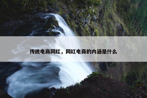 传统电商网红，网红电商的内涵是什么