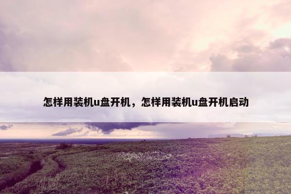 怎样用装机u盘开机，怎样用装机u盘开机启动